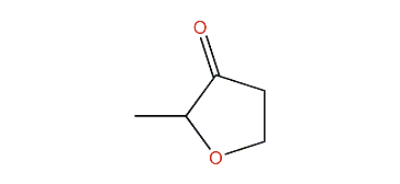 2-Methyltetrahydrofuran-3-one